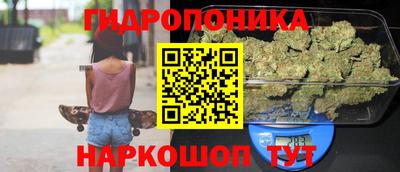 твердый Будённовск