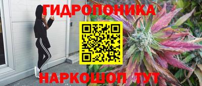 амф Бузулук