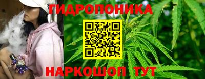 твердый Будённовск