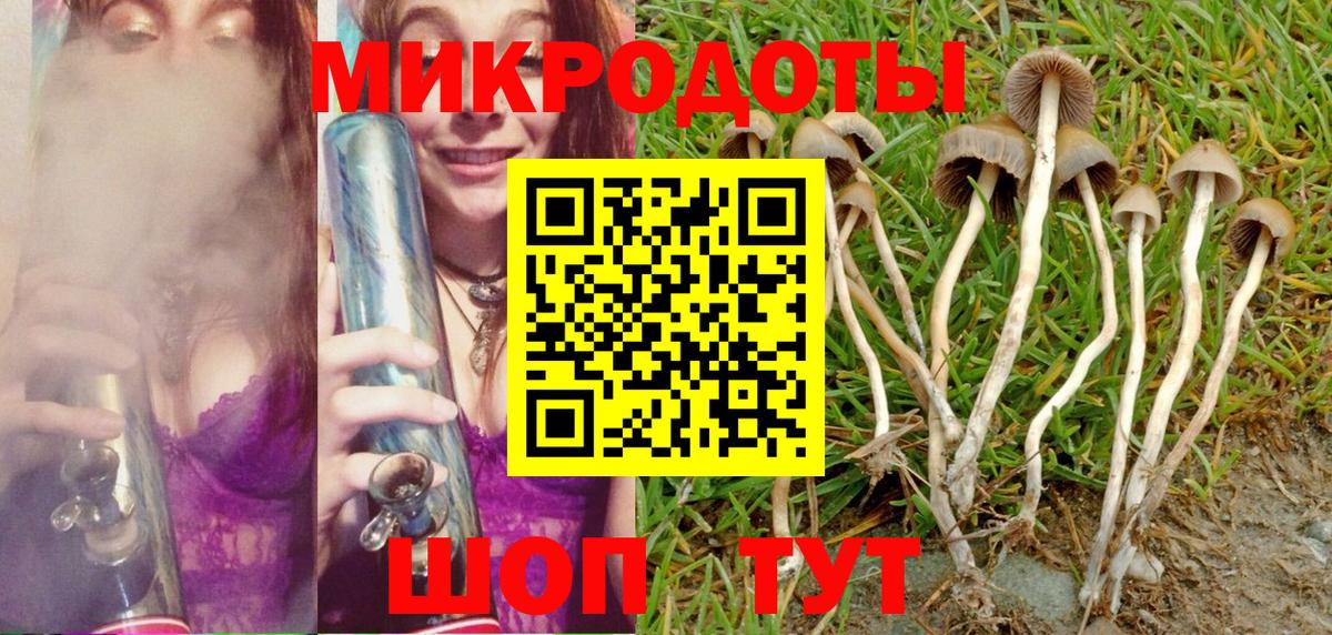 Тельмана  Псилоцибиновые грибы мухоморы  Вход с VPN 
