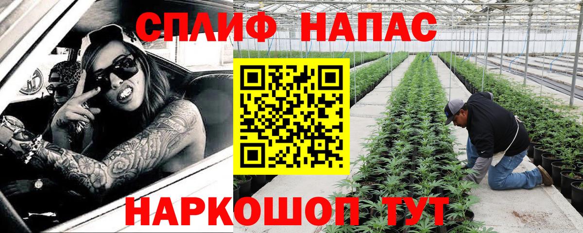 Конопля AK-47  Бошки Шишки план  Конопля конопля  Вход с VPN  Тельмана  Каннабис планчик 